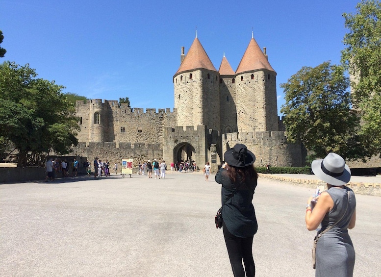 Picture 1 for Activity From Toulouse Cite de carcassonne et wine tasting