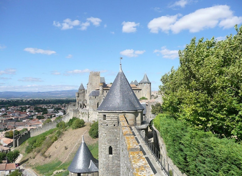 Picture 2 for Activity From Toulouse Cite de carcassonne et wine tasting