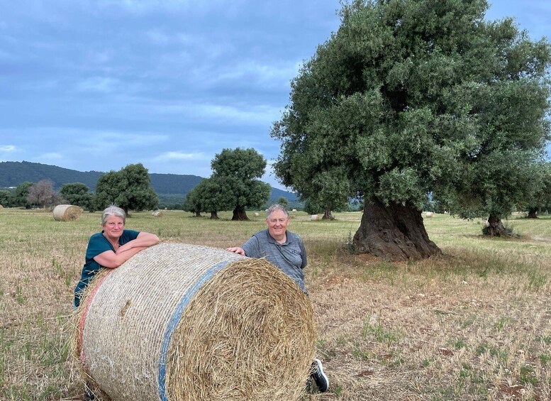 Picture 2 for Activity Sunset Aperitif & Ebike Tour in Olive Trees Monumental Park