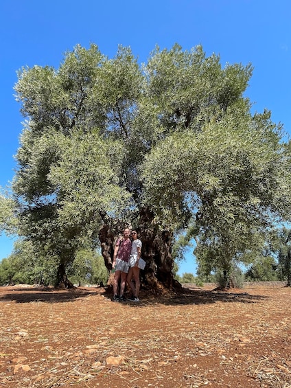 Picture 4 for Activity Sunset Aperitif & Ebike Tour in Olive Trees Monumental Park