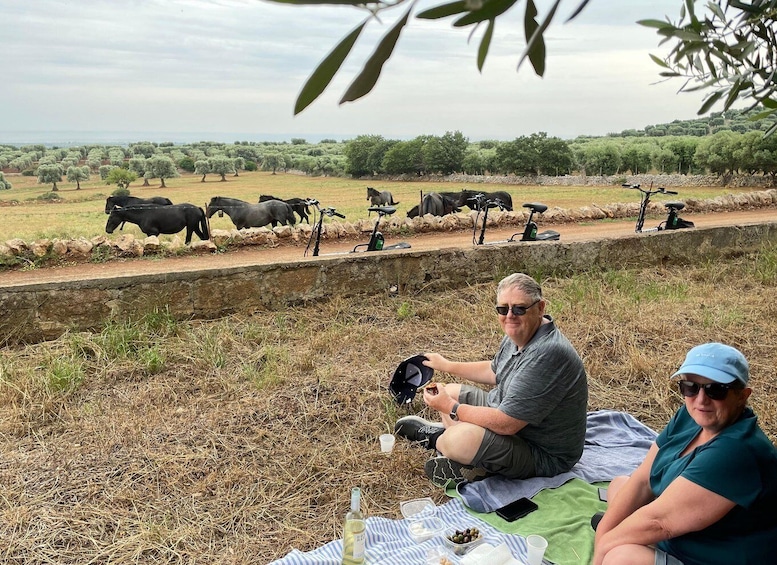 Picture 3 for Activity Sunset Aperitif & Ebike Tour in Olive Trees Monumental Park