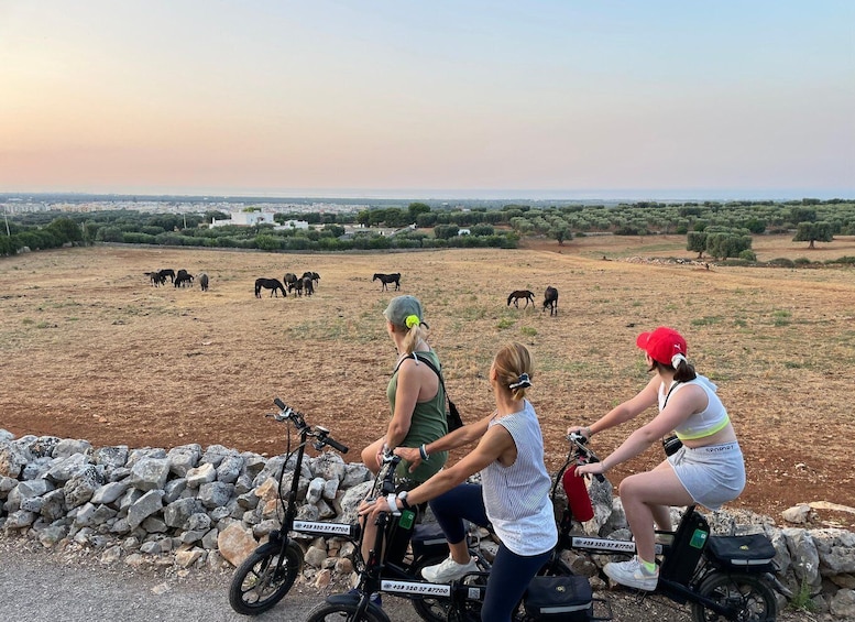 Picture 8 for Activity Sunset Aperitif & Ebike Tour in Olive Trees Monumental Park