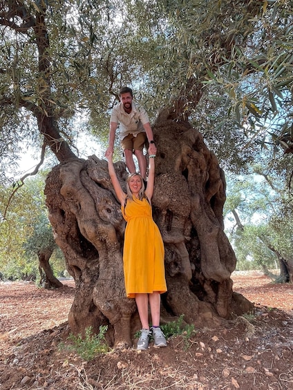 Picture 10 for Activity Sunset Aperitif & Ebike Tour in Olive Trees Monumental Park