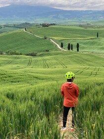 Sienne : Guide Bike excursion du Val d'Orcia