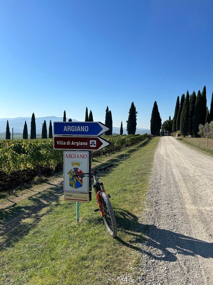 Picture 12 for Activity Siena: Guide Bike Tour of Val d’Orcia
