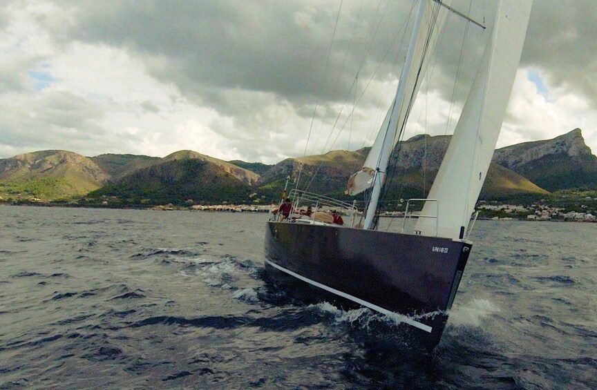 Picture 3 for Activity Alcudia: Unique All-inclusive Full Day Sailing trip
