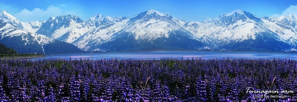 From Anchorage: Alaska Wildlife Center & Turnagain Arm Tour