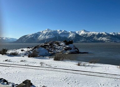 From Anchorage: Alaska Wildlife Center & Turnagain Arm Tour