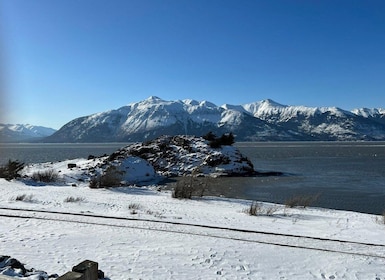 From Anchorage: Alaska Wildlife Centre & Turnagain Arm Tour
