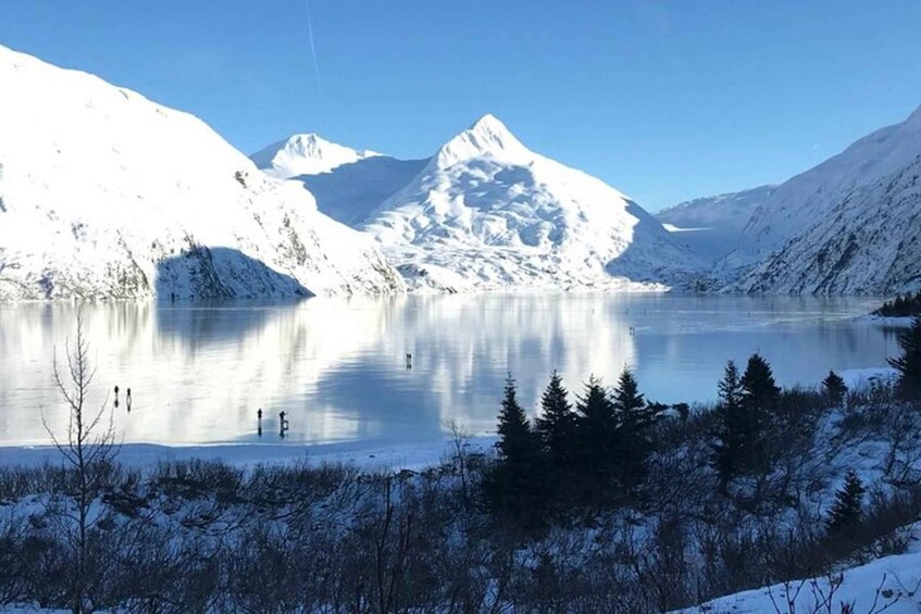 Picture 3 for Activity From Anchorage: Alaska Wildlife Center & Turnagain Arm Tour