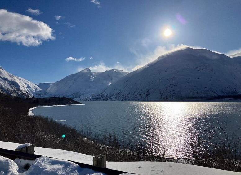 Picture 7 for Activity From Anchorage: Alaska Wildlife Center & Turnagain Arm Tour