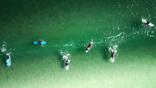 Sri Lank Galle Tour mit 3-stündigem Surfen mit einem Instruktor