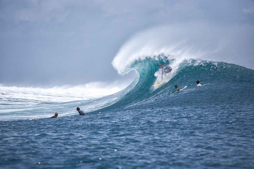 Picture 9 for Activity Sri Lank Galle tour with 3-hour surfing with an instructor