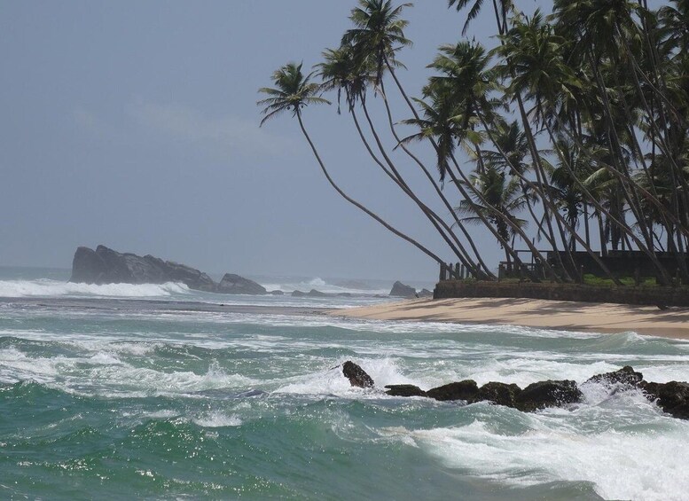 Picture 6 for Activity Sri Lank Galle tour with 3-hour surfing with an instructor