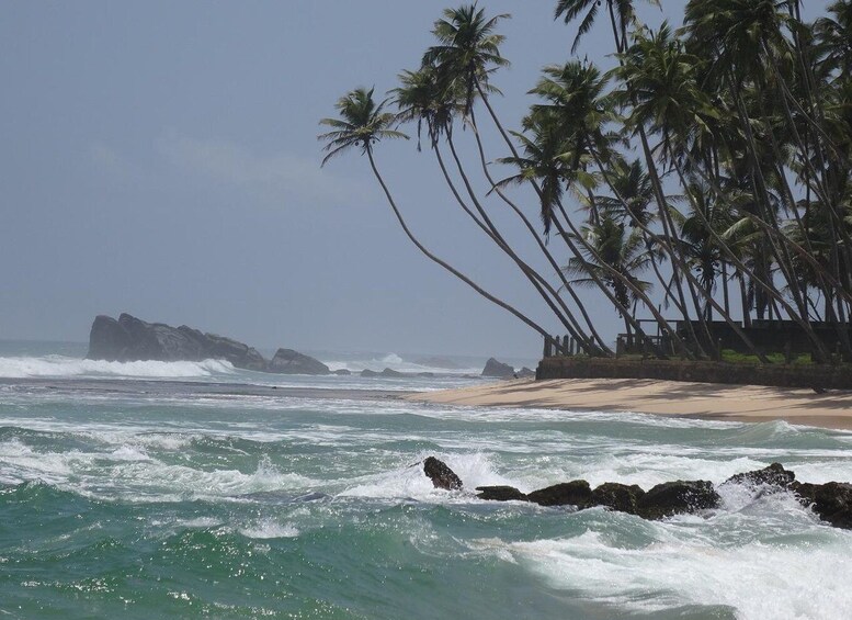 Picture 6 for Activity Sri Lank Galle tour with 3-hour surfing with an instructor