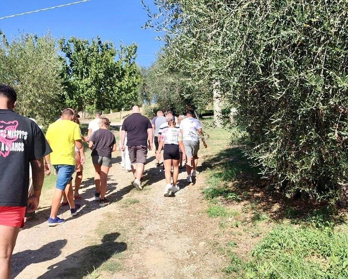 Picture 2 for Activity Seggiano: Guided Tour of the Olive Grove and Food Tasting