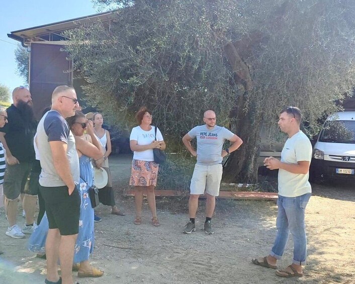 Picture 4 for Activity Seggiano: Guided Tour of the Olive Grove and Food Tasting
