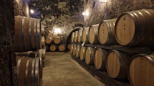 Vinprovning i Montepulciano Toscana Privat tur från Rom