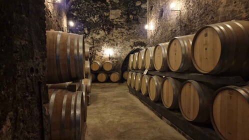 Cata de Vinos en Montepulciano Toscana Tour Privado desde Roma