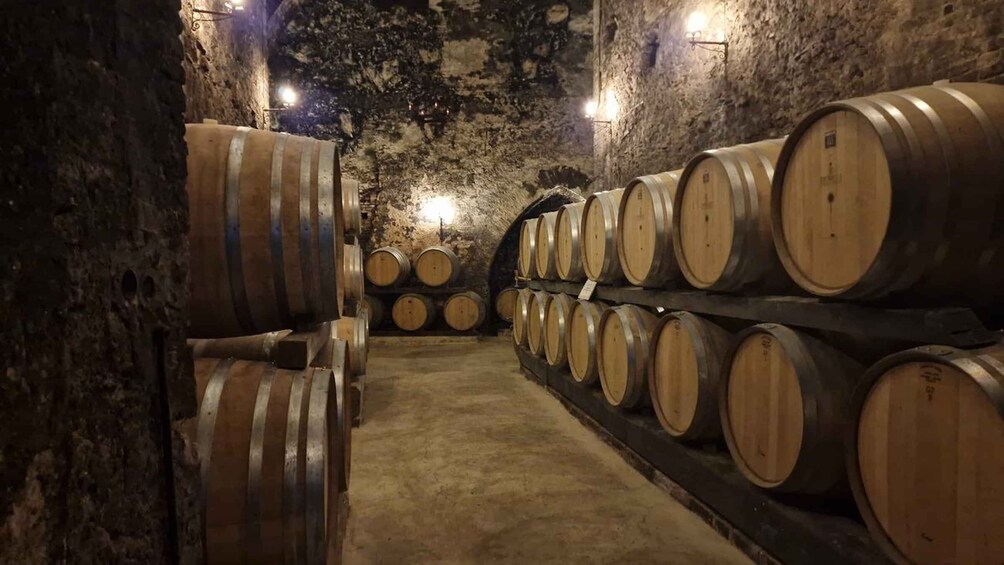 Wine Tasting in Montepulciano Tuscany Private Tour from Rome