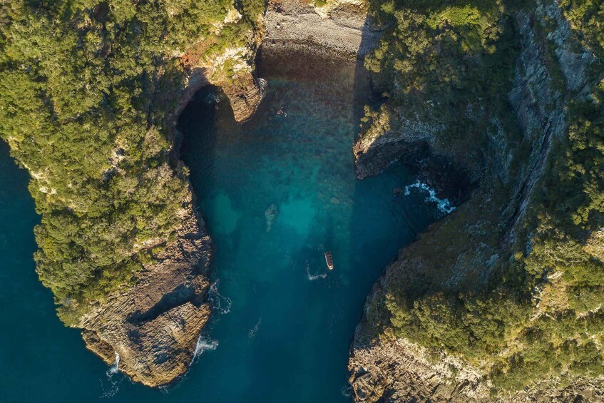 From Tairua: Coromandel Peninsula Guided Scenic Cruise