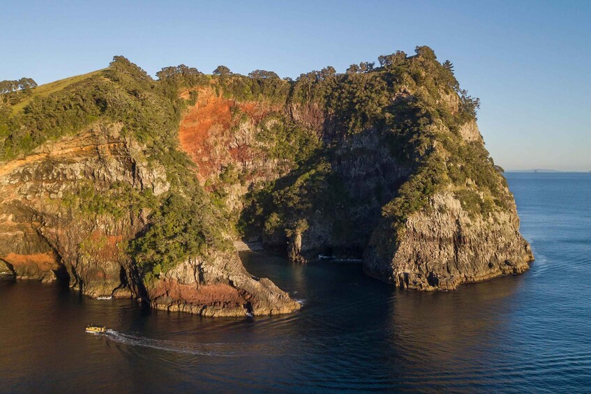 Picture 4 for Activity From Tairua: Coromandel Peninsula Guided Scenic Cruise