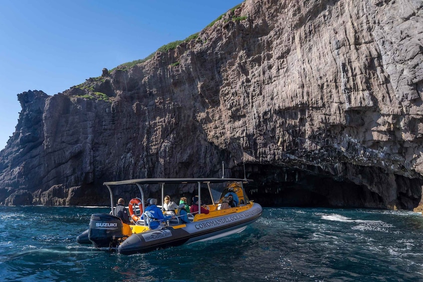 Picture 2 for Activity From Tairua: Coromandel Peninsula Guided Scenic Cruise