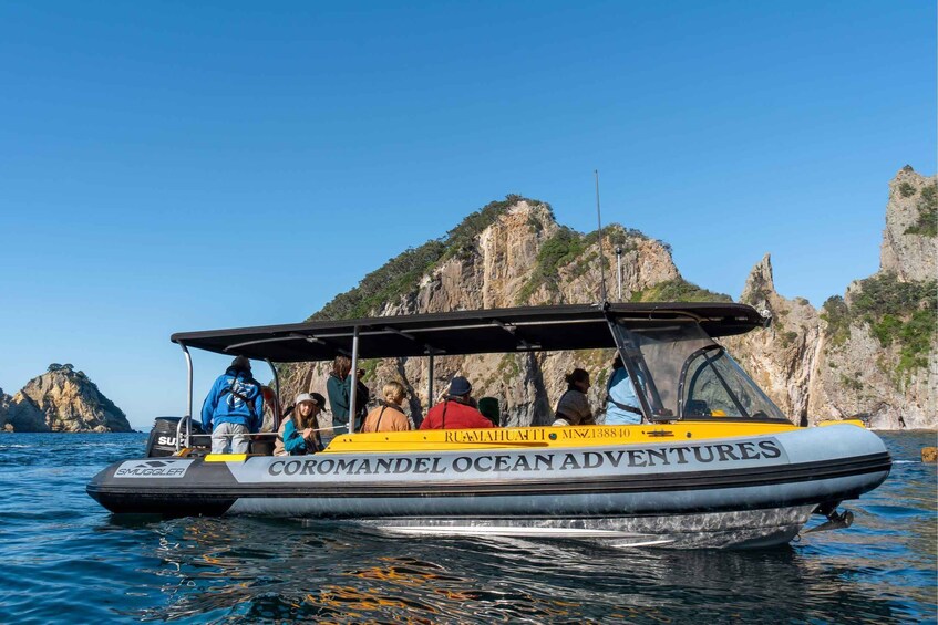 Picture 1 for Activity From Tairua: Coromandel Peninsula Guided Scenic Cruise