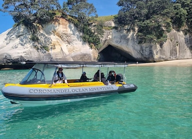 From Tairua: 2 Hour Cathedral Cove Tour with Local Guide