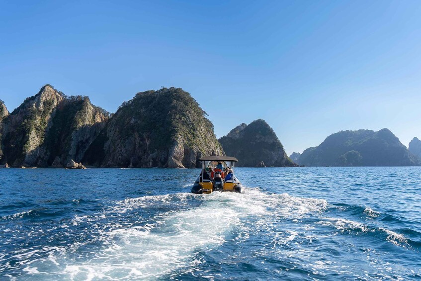 Picture 5 for Activity From Tairua: Coromandel Peninsula Guided Scenic Cruise