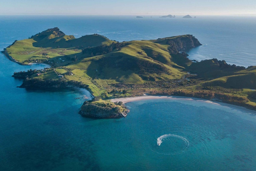 Picture 3 for Activity From Tairua: Coromandel Peninsula Guided Scenic Cruise