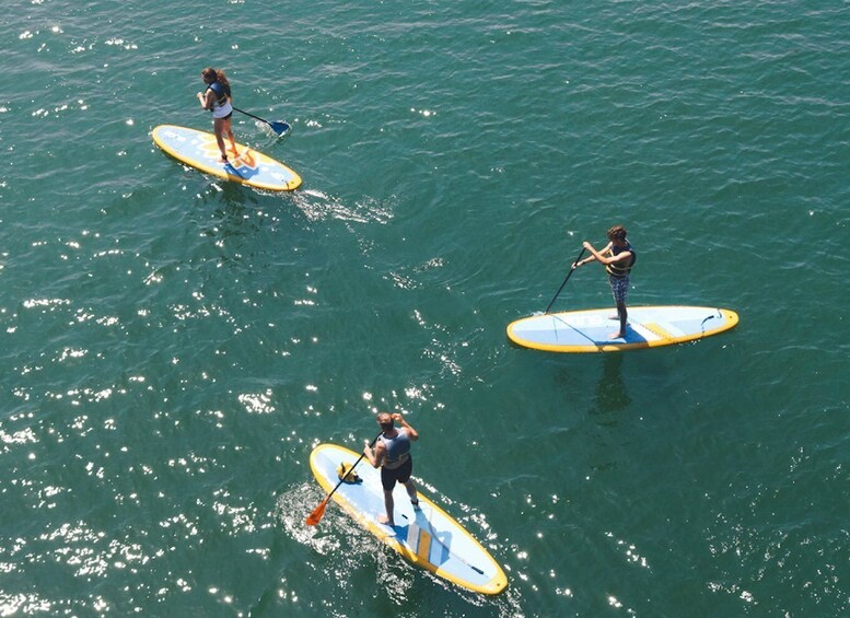 Picture 2 for Activity Austin: Lady Bird Lake Stand-Up Paddleboard Rental