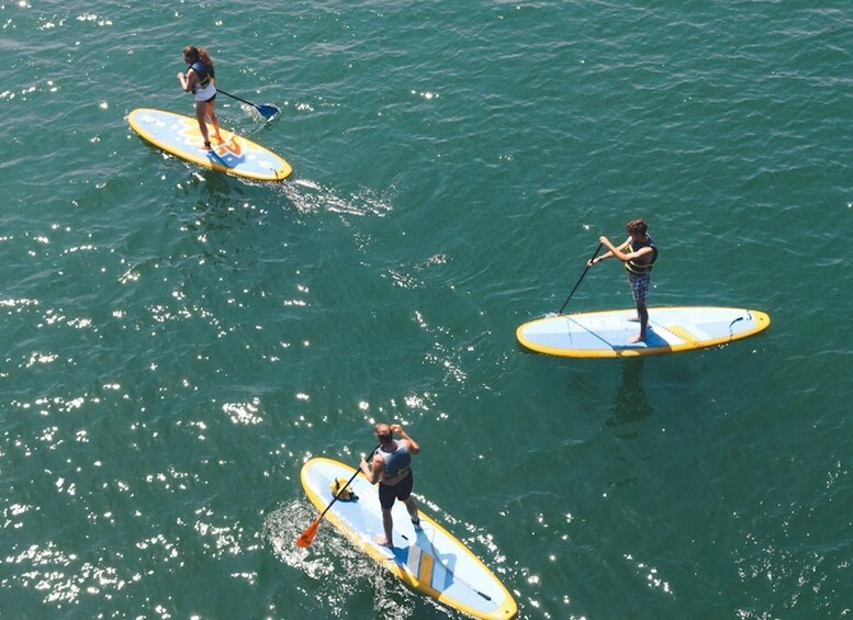 Picture 2 for Activity Austin: Lady Bird Lake Stand-Up Paddleboard Rental