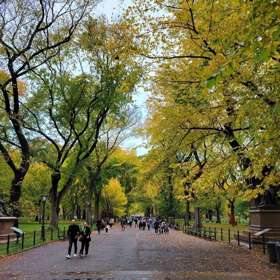 Picture 2 for Activity Guided Express Pedicab Tour in Central Park