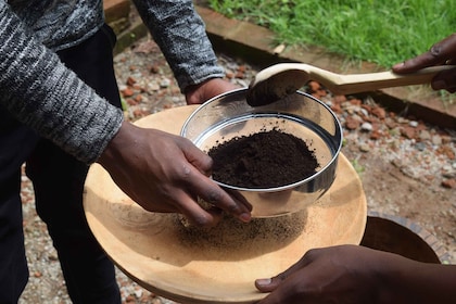 Arusha: Coffee Tour