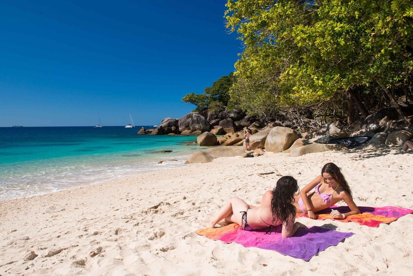 Picture 8 for Activity Cairns: Great Barrier Reef and Fitzroy Island Boat Tour