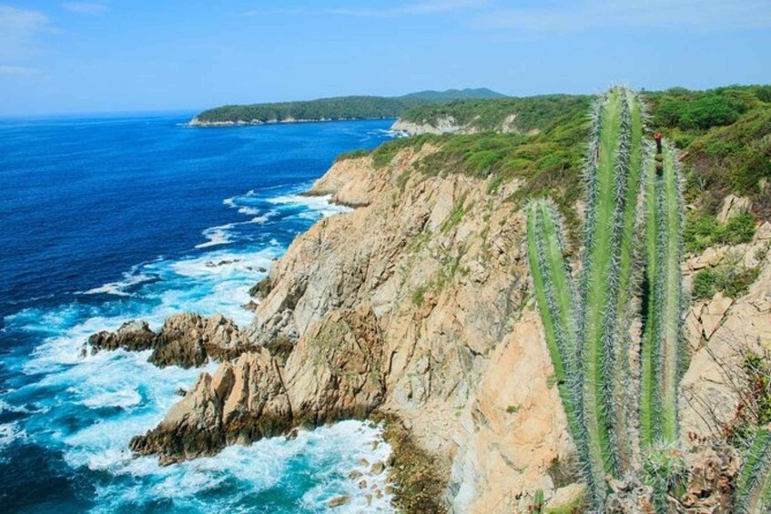 Huatulco: 5-Bay Exclusive Premium Panga Experience