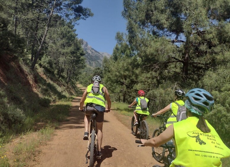 Picture 2 for Activity Electric mountain bike in Sierra de las Nieves national park