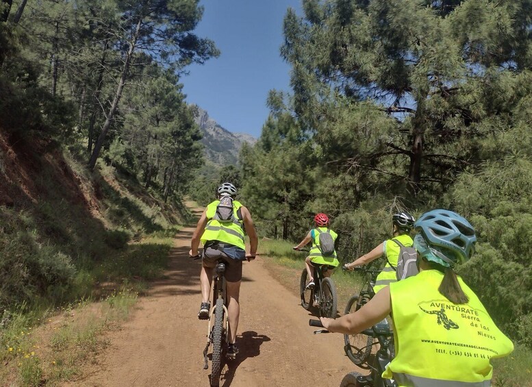 Picture 2 for Activity Electric mountain bike in Sierra de las Nieves national park