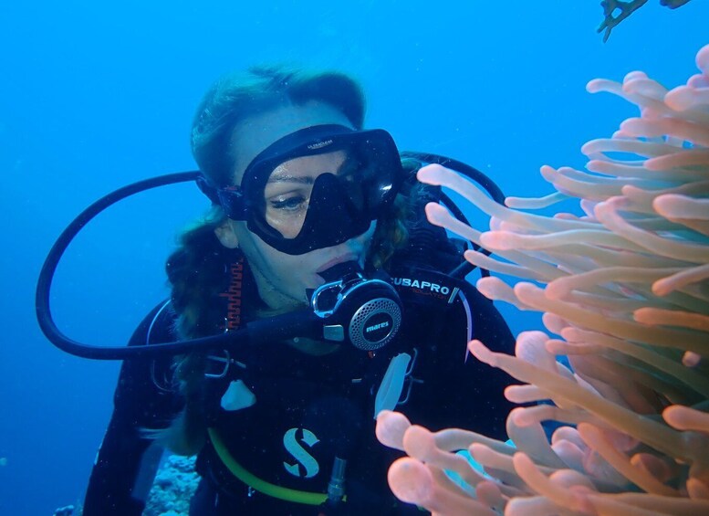 Picture 3 for Activity Tenerife: Costa Adeje Private Diving Lesson Experience