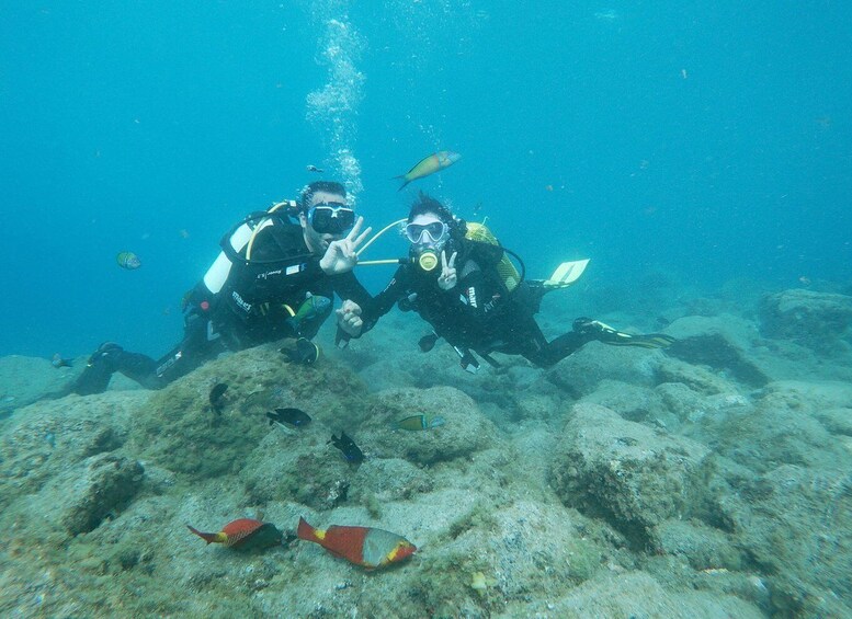 Picture 5 for Activity Tenerife: Costa Adeje Private Diving Lesson Experience