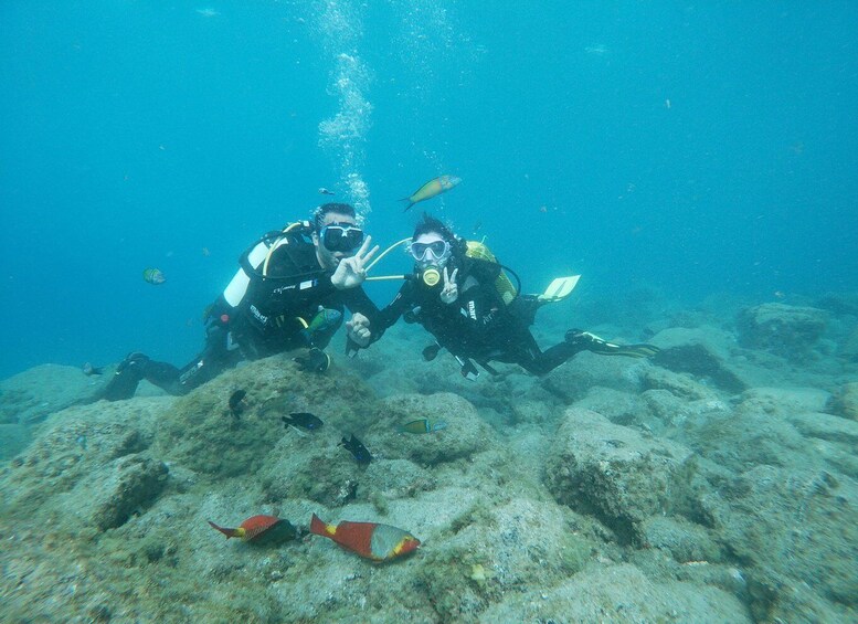 Picture 5 for Activity Tenerife: Costa Adeje Private Diving Lesson Experience