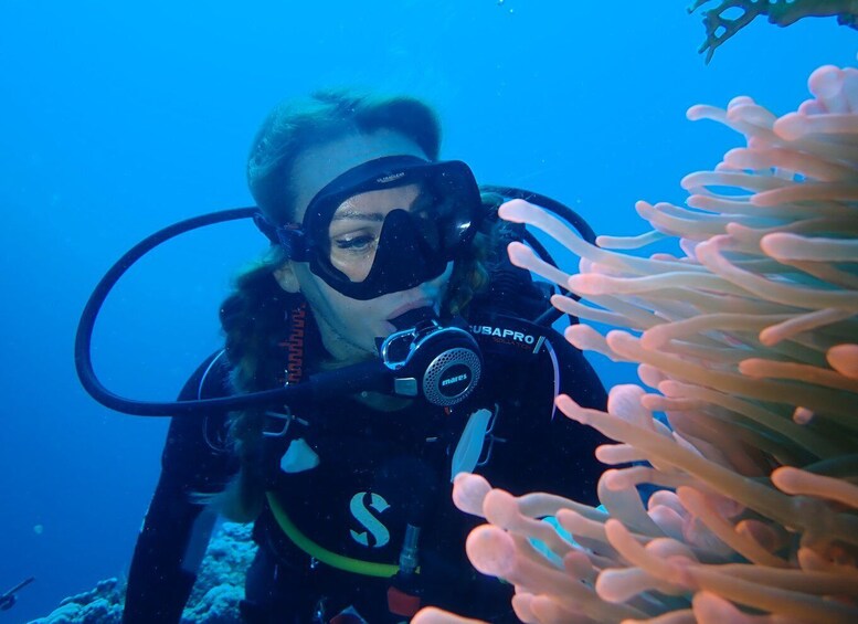 Picture 3 for Activity Tenerife: Costa Adeje Private Diving Lesson Experience