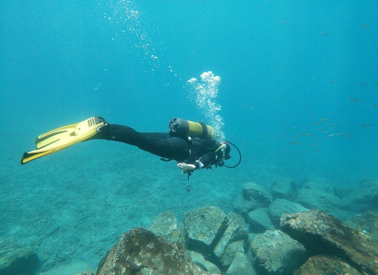 Picture 8 for Activity Tenerife: Costa Adeje Private Diving Lesson Experience