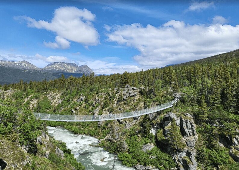 Picture 5 for Activity Skagway: Klondike Highway & Yukon Bus Tour with Husky Kennel