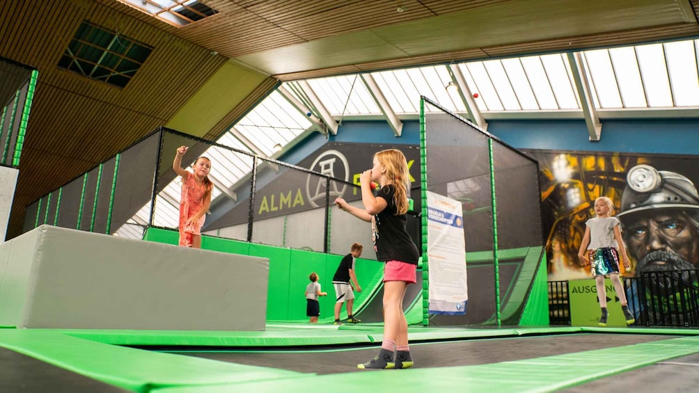 Picture 3 for Activity Gelsenkirchen: Alma Park Trampoline Area Admission