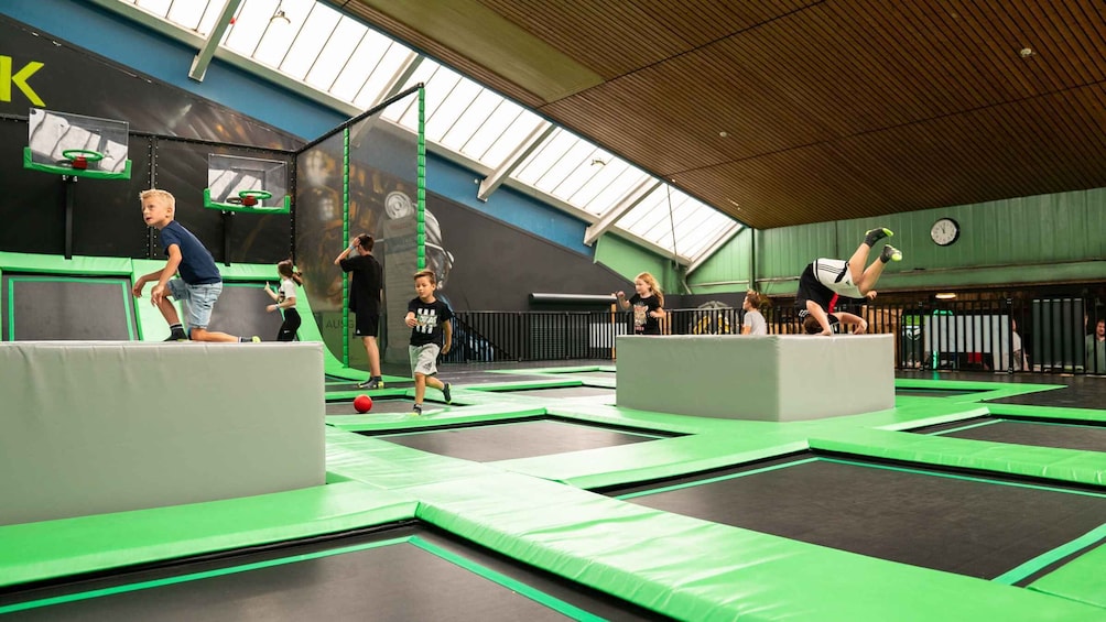 Picture 7 for Activity Gelsenkirchen: Alma Park Trampoline Area Admission