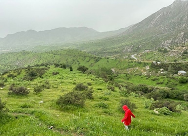 From Samarkand: Shakhrisabz Private Tour via Devil's Plateau