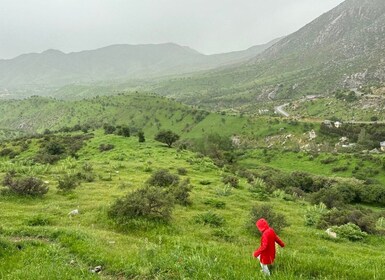 From Samarkand: Shakhrisabz Private Tour via Devil's Plateau