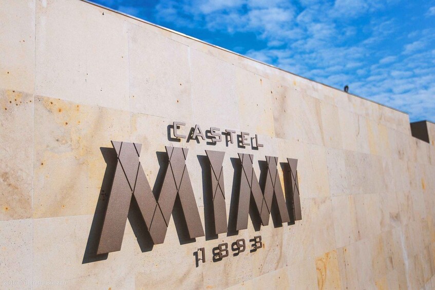 Picture 10 for Activity From Moldova:Castel MIMI Winery tour with wine tasting to